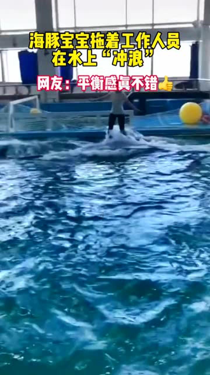 88影视